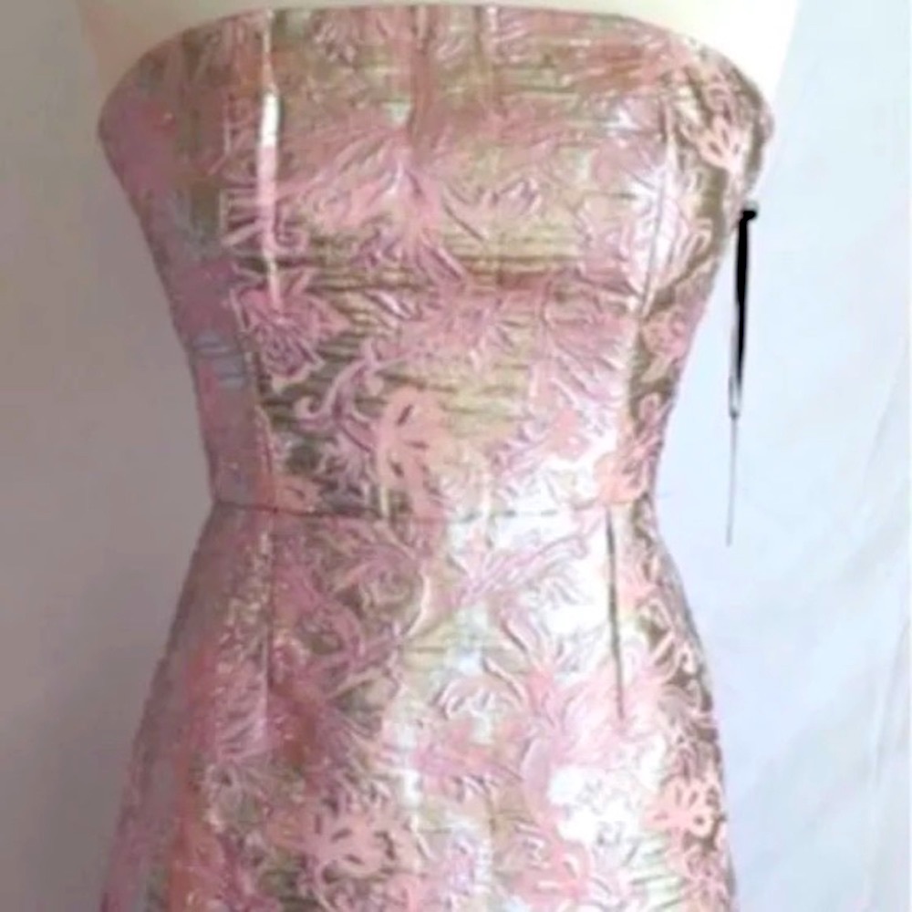 Forever 21 pink and silver metallic brocade corset dress. Brand new with tags!